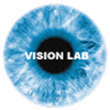(Vision Lab logo)
